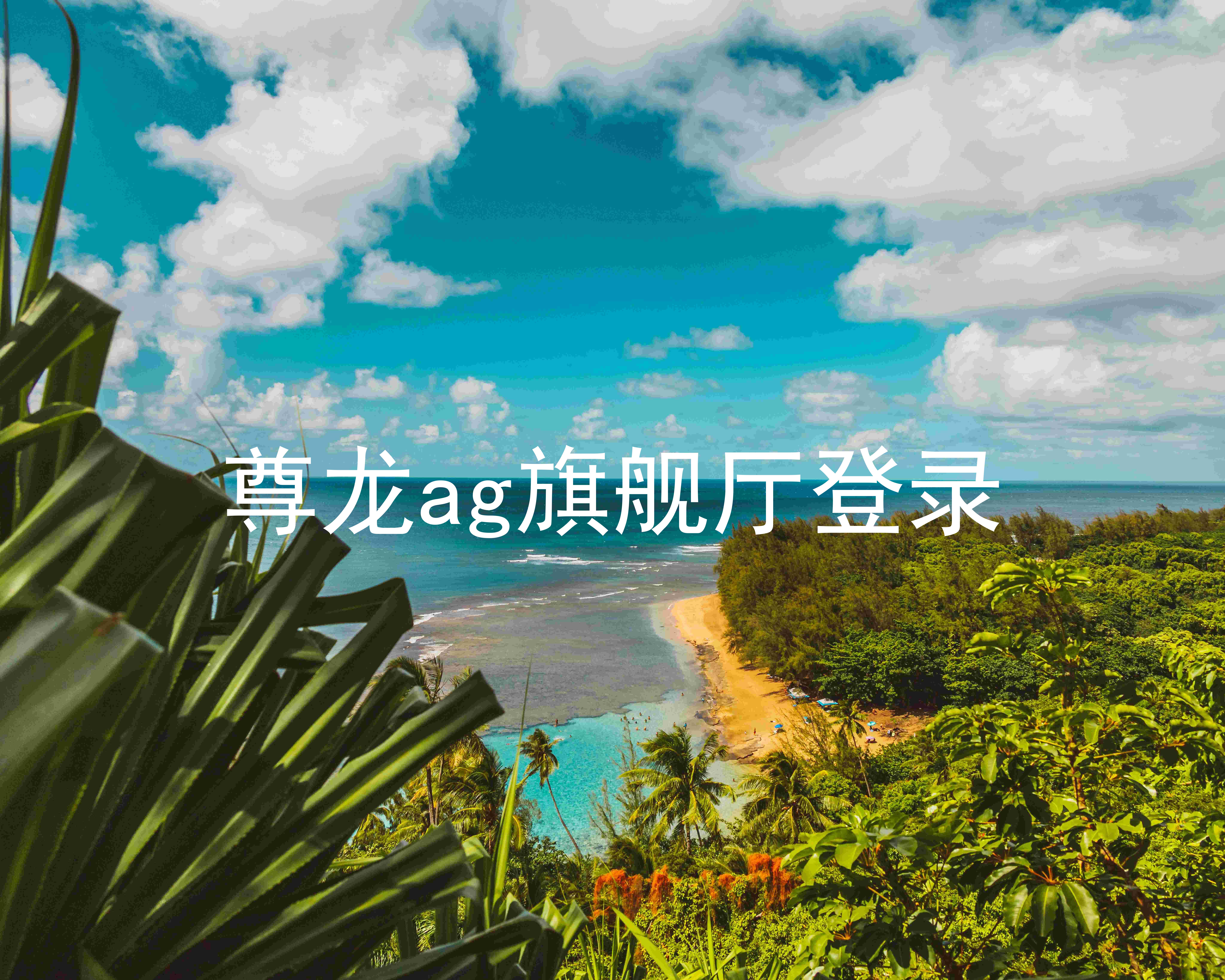 尊龙ag旗舰厅登录