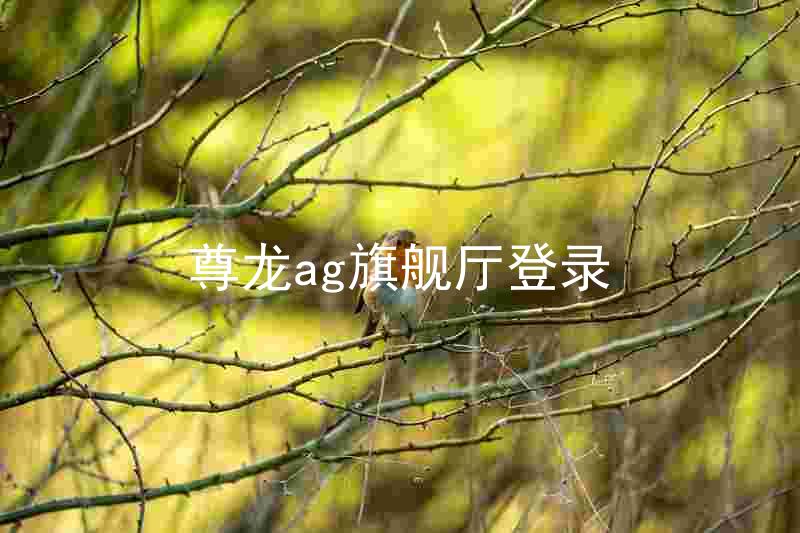尊龙ag旗舰厅登录